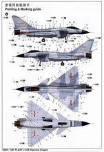 Boomerang J10 - Military Scheme - Boomerang RC Jets