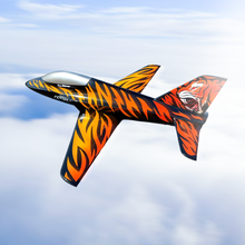 Boomerang ATOM - Belgian Tiger Scheme