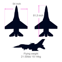 Boomerang F-16 Ace In The Hole - Boomerang RC Jets