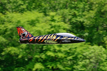 Boomerang ATOM Squared Tiger Scheme