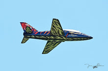Boomerang ATOM Squared Tiger Scheme
