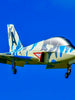 Boomerang ATOM - Blue Camo PNP