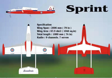 Boomerang Sprint V2 - Canada Snowbirds - Boomerang RC Jets