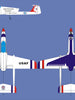 Boomerang Elan Thunderbird - Boomerang RC Jets
